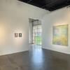 10th Annual Summer Group Show: nature is what we see