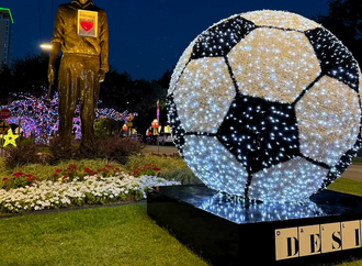 Between Matches: Your Guide to Exploring the Dallas Design District